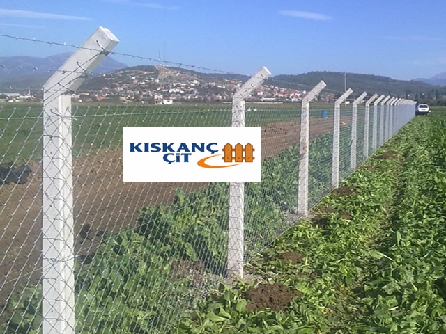 Dikenli Tel aliaga Fiyat