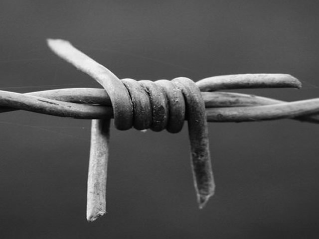 İzmir Dikenli Tel Firmaları