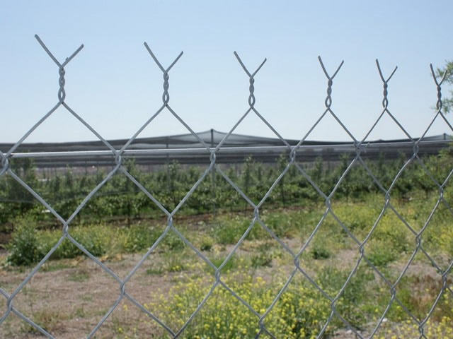 Yaptığımız İşler